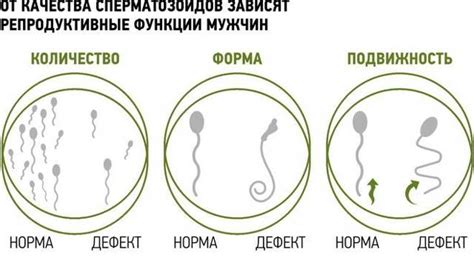 Симптомы и признаки мужского бесплодия