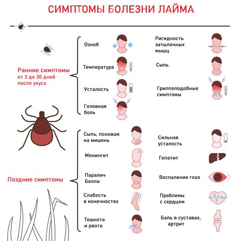 Симптомы клещевого энцефалита у собаки