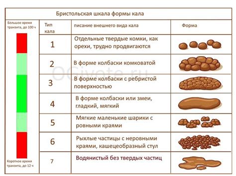 Симптомы кровавого стула, на которые стоит обратить внимание