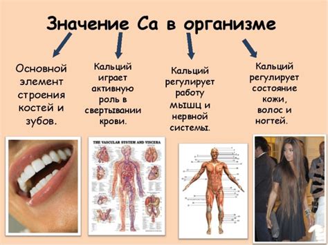 Симптомы недостатка кальция