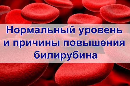 Симптомы повышенного билирубина у взрослых