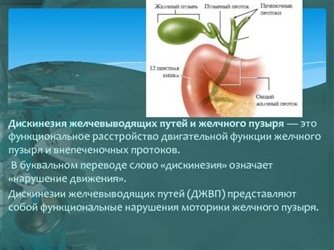 Симптомы полного загиба желчного пузыря