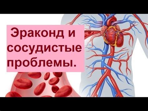 Синдром Гордона и сосудистые проблемы