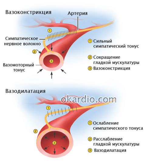 Синдром вазодилатации