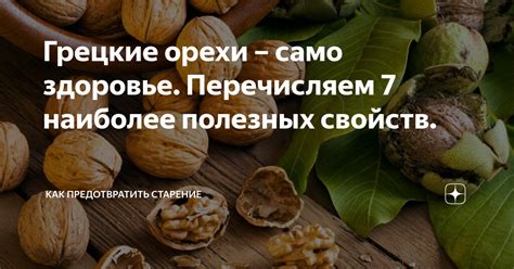 Синичкам грецкие орехи: все о полезных свойствах и вреде