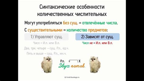 Синтаксические особенности речонок