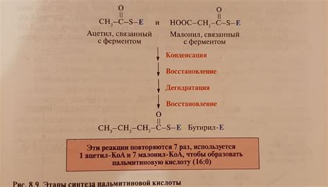 Синтез кислоты