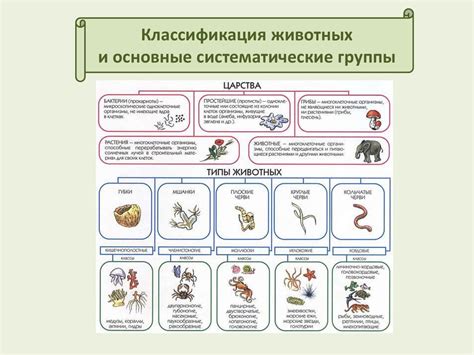 Система классификации животных