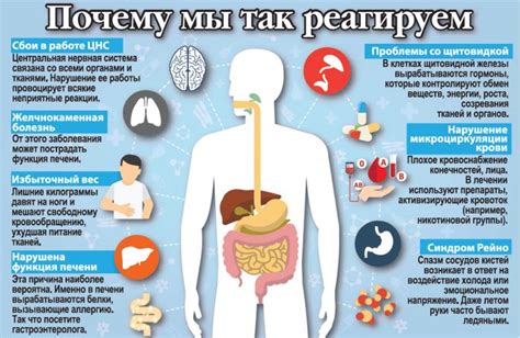 Системная реакция организма на холод