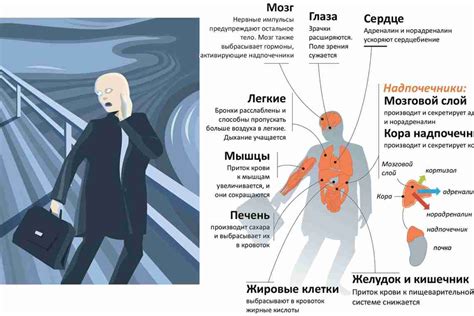 Системные заболевания и хронический стресс