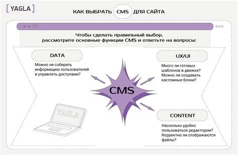 Системы управления контентом (CMS) и мета-теги: как очистить мета-информацию в различных CMS