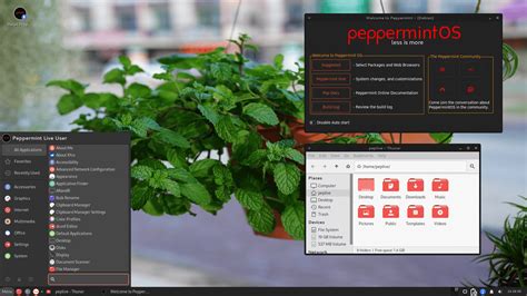 Скачайте дистрибутив Peppermint OS