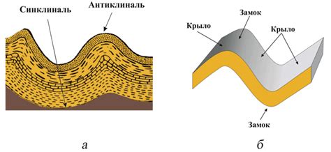 Складка и закрепление