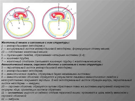 Складка образуется из-за изменения условий