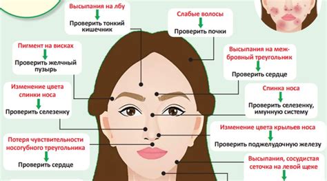 Складки на ребрах у женщин: основные причины и методы борьбы