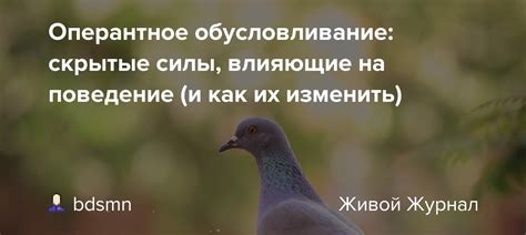 Скрытые силы влияющие на нас