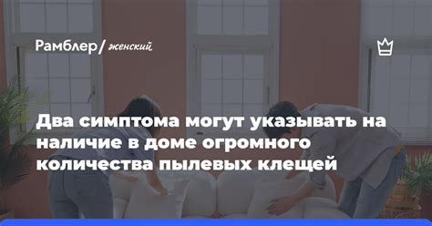 Следующие признаки могут указывать на наличие бездомного в доме престарелых