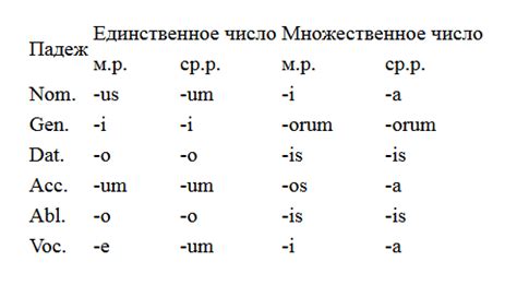 Слова-индикаторы лица глагола в латинском языке