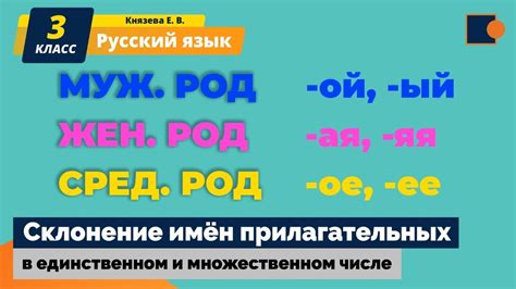 Слово "линованная" в единственном и множественном числе