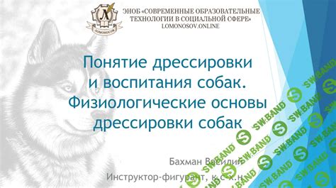 Сложность воспитания и дрессировки