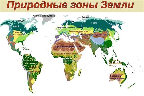 Смена природных зон и ее последствия для человека