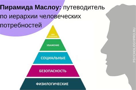 Смысл пирамиды Маслоу для психологии