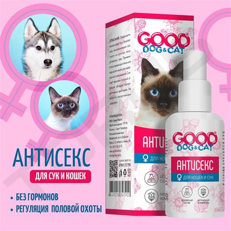 Снижение активности кошек