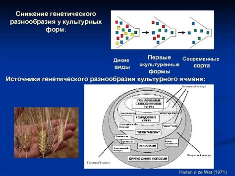 Снижение генетического разнообразия