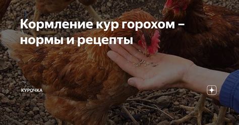 Снижение затрат на кормление горохом