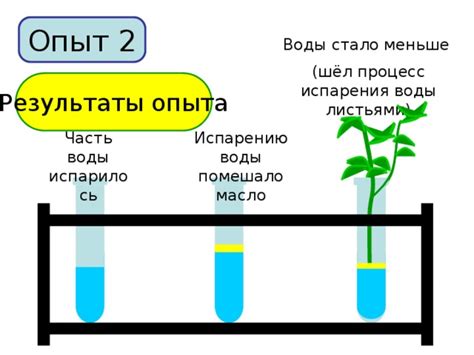 Снижение испарения воды