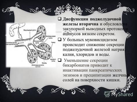 Снижение секреции воды