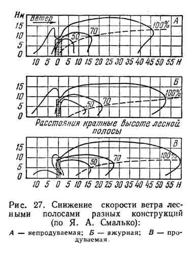 Снижение скорости ветра в лесу