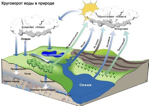 Снижение уровня грунтовых вод