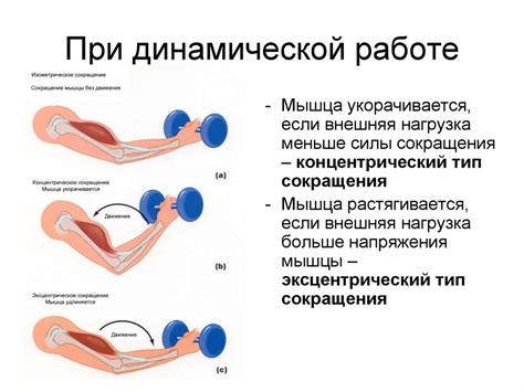 Сниженная растяжимость мышц