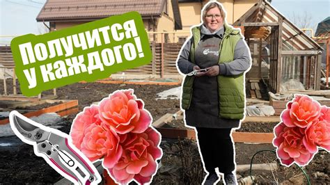 Снятие укрытий весной: правила и сроки