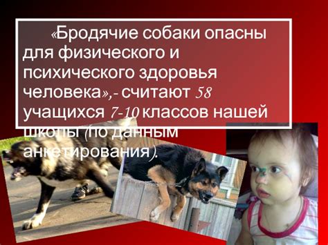 Собаки способствуют улучшению физического и психического здоровья