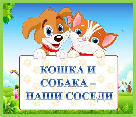 Собачие соседи и ночной режим кошки