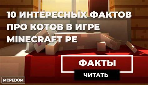 Соберите материалы, необходимые для создания кота в Minecraft