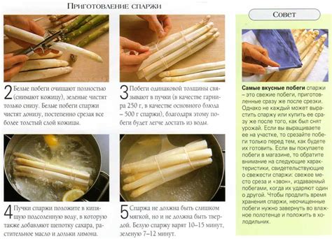 Собирание и использование спаржи