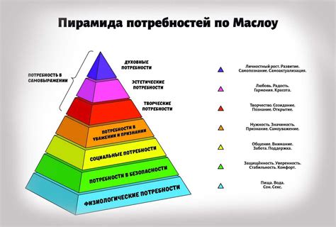 Собственная иерархия и социальные привычки