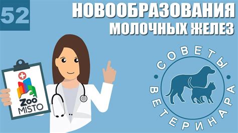 Советы ветеринара по устранению проблемы