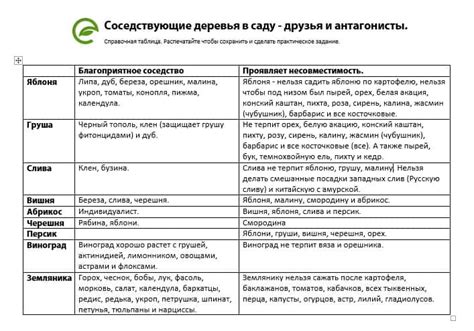 Советы для создания привлекательного меню