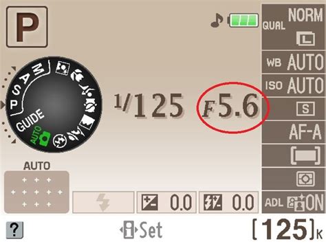 Советы и рекомендации по настройке диафрагмы на Nikon D3200
