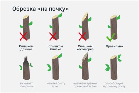 Советы и рекомендации по обрезке стеклопакета