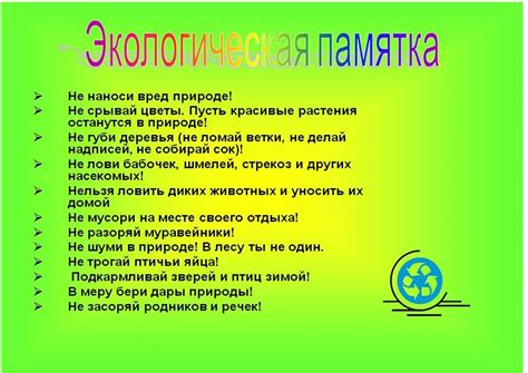 Советы и рекомендации по сохранению природы во время отпуска