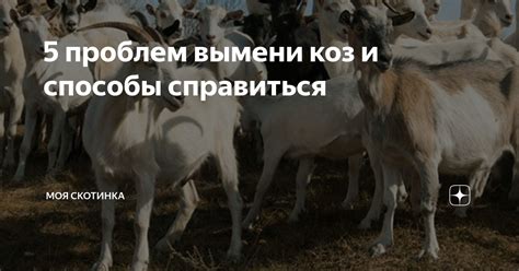 Советы и способы подготовки вымени собаки