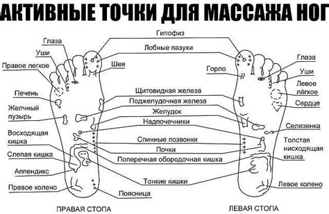 Советы мастеров массажа ног