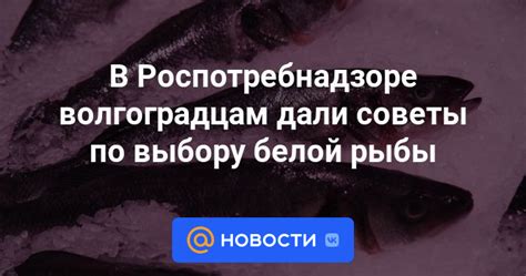 Советы по выбору хека рыбы