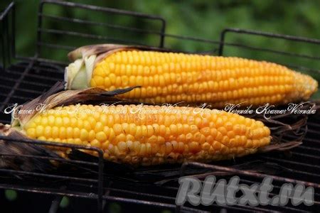 Советы по готовке сочной и ароматной кукурузы на мангале