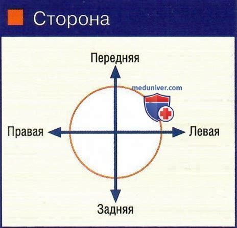 Советы по интерпретации сигналов: